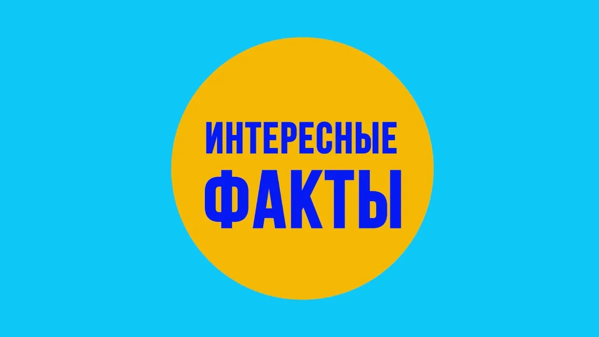 Интересные факты