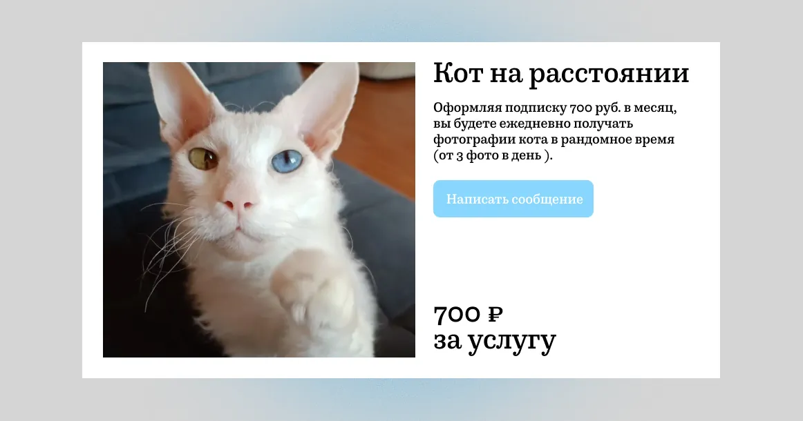 «Кот на расстоянии»
