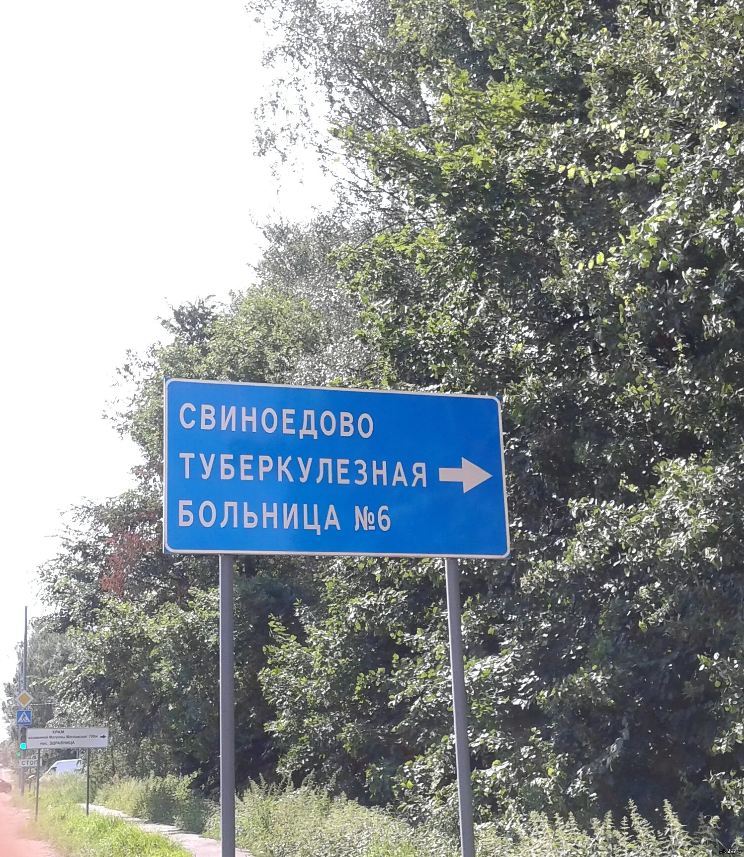 Едем в Свиноедово!