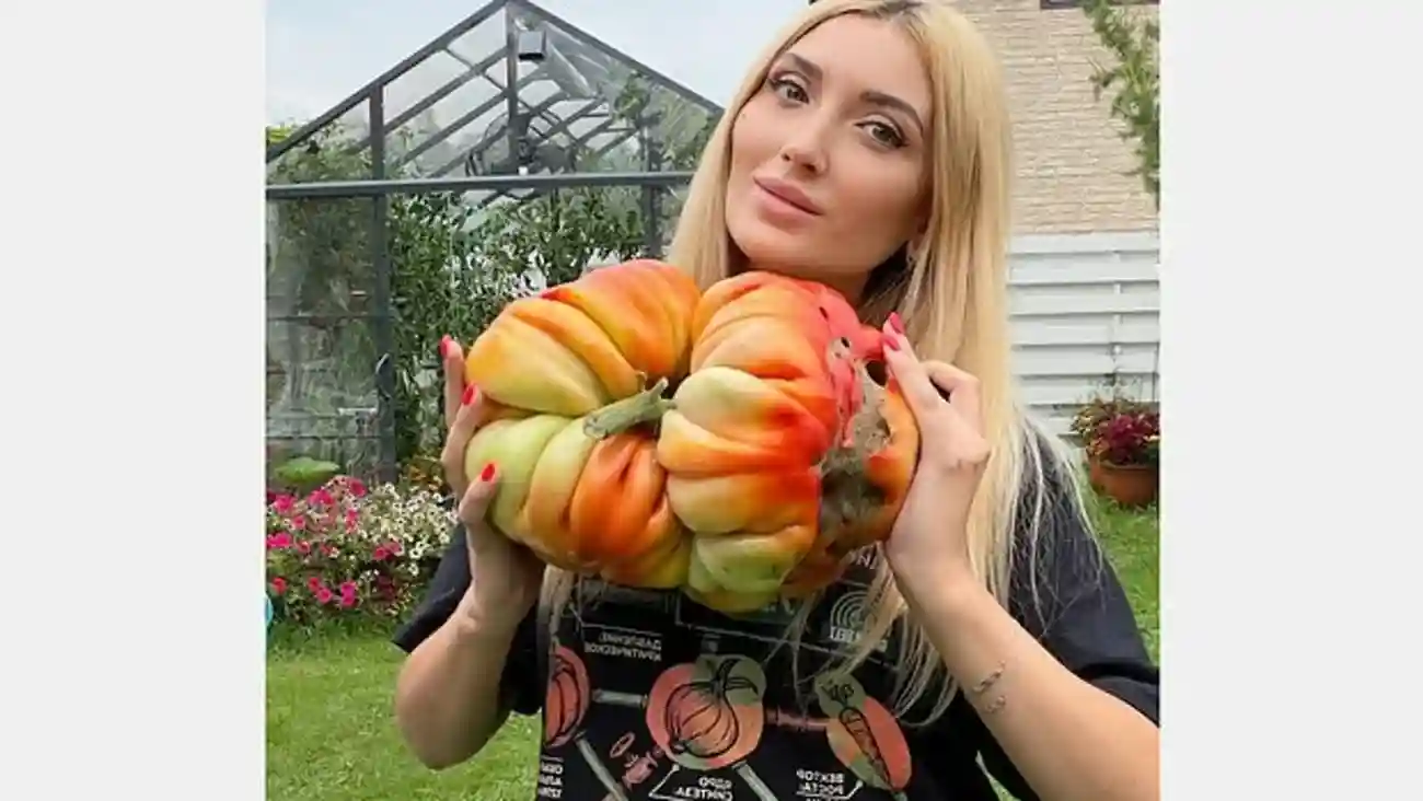 Рекорд наш!