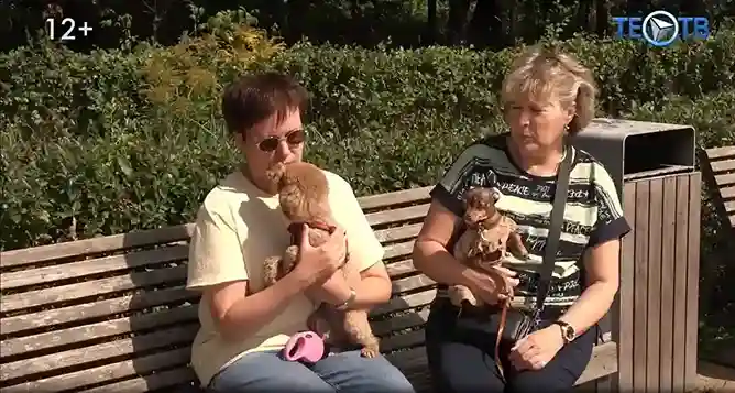 Антидепрессанты для животных: спрос растёт, а толку мало!