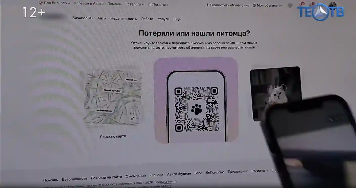 Как найти домашнего питомца? Есть «Хвост-Радар»!