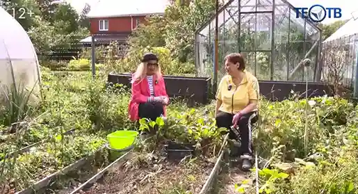 Юрист на грядках: «Я проиграла свёкле!»