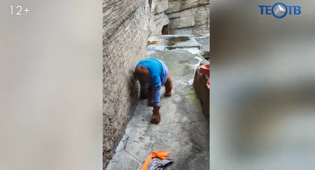 Обезьянам зоопарка нужна «тёплая» помощь!
