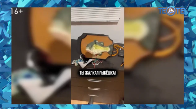 Рыба-мотиватор